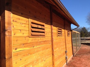 Side of chicken house
